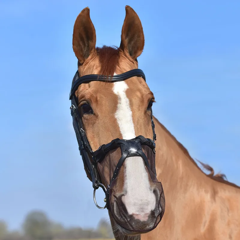 Equilibrium Net Relief Muzzle Net for Grackle Bridles - Black