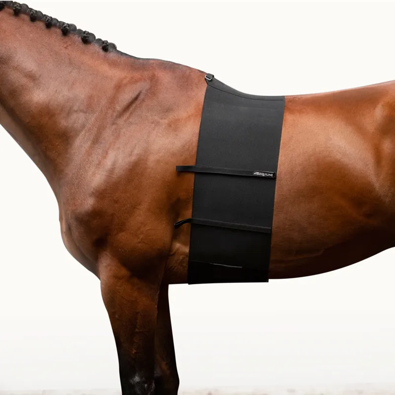 Equiline Quintin Body Bandage Belly Guard - Black