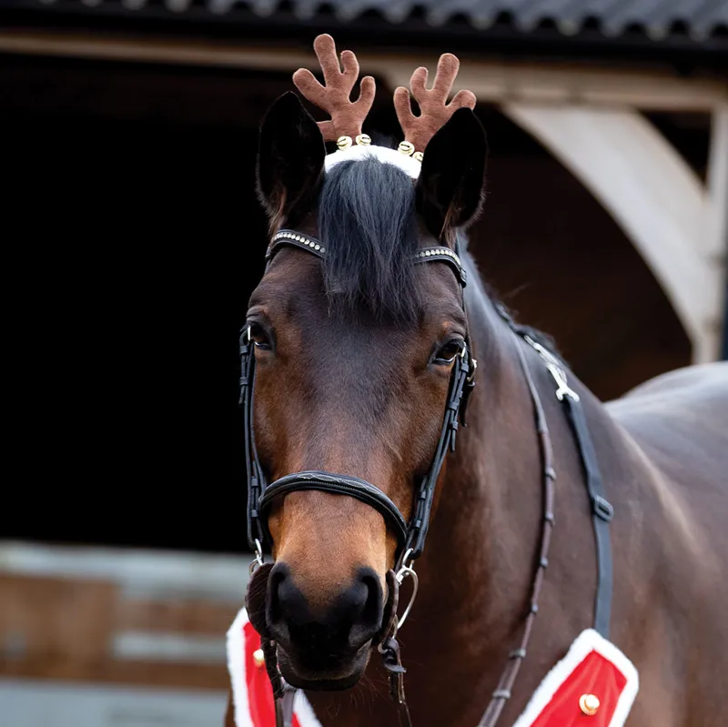 Equetech Reindeer Antler Bridle Attachment-1