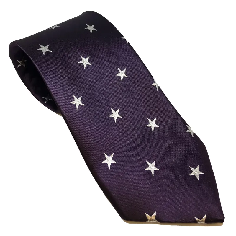 Equetech Stars Junior Show Tie - Purple/Silver Stars