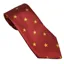 Equetech Stars Junior Show Tie - Red/Gold