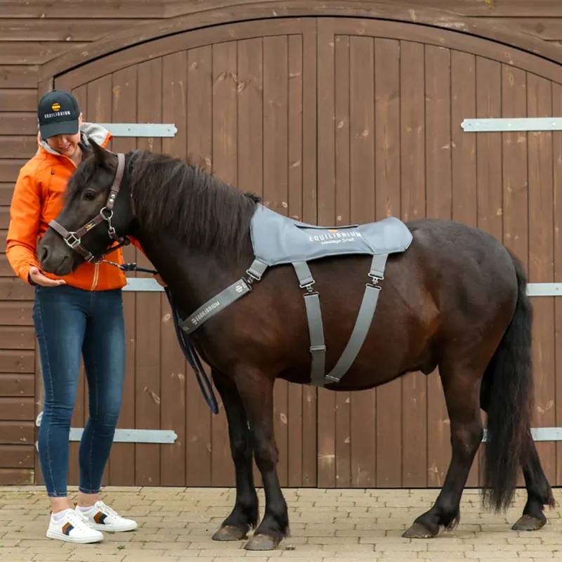 Equilibrium Massage Back Pad - Pony-2