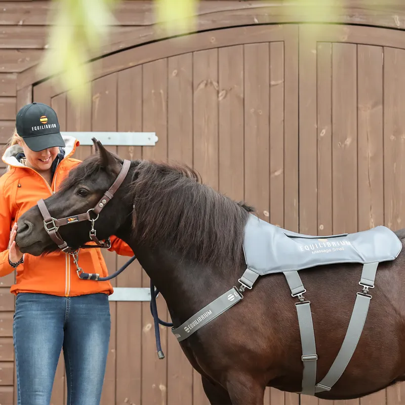Equilibrium Massage Back Pad - Pony-3