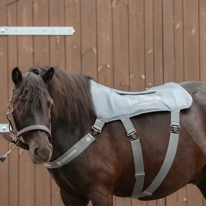 Equilibrium Massage Back Pad - Pony