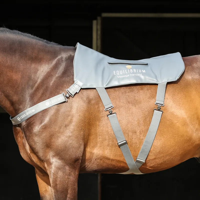 Equilibrium Massage Back Pad - Standard