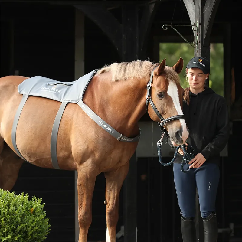 Equilibrium Massage Back Pad - Standard - TRIAL-6