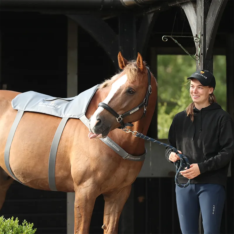 Equilibrium Massage Back Pad - Standard - TRIAL-4