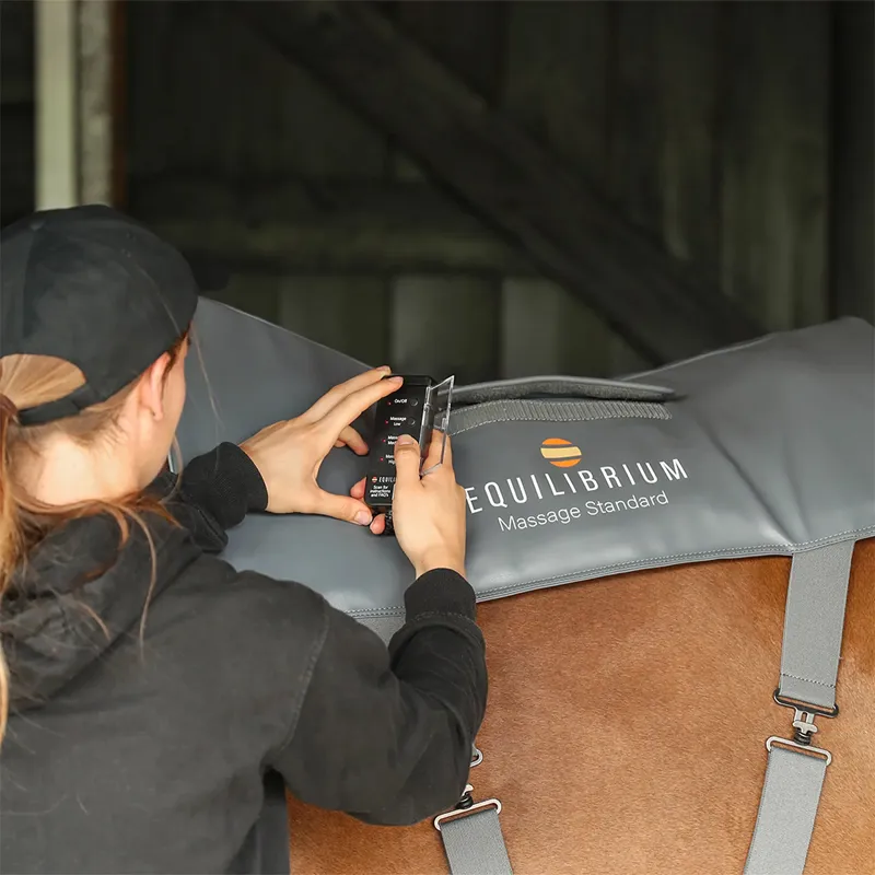 Equilibrium Massage Back Pad - Standard - TRIAL-2