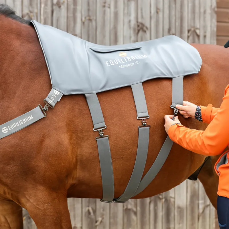 Equilibrium Massage Back Pad - XL-3