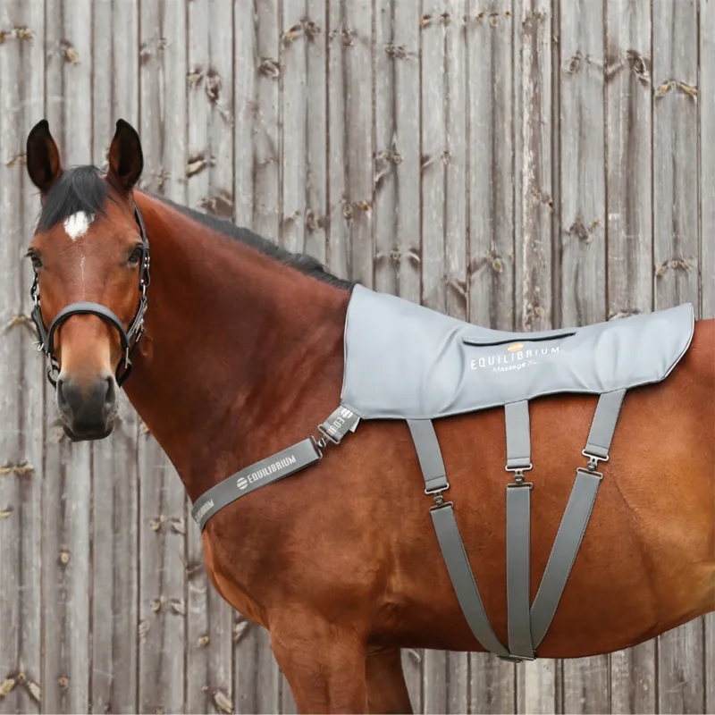 Equilibrium Massage Back Pad - XL