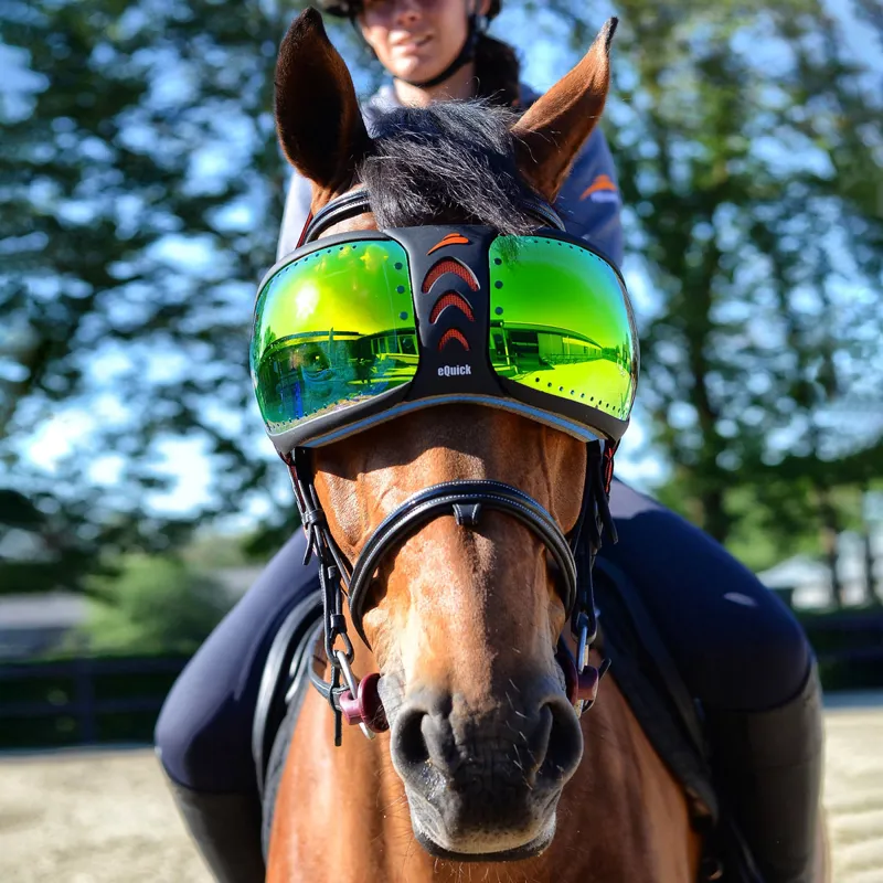 eQuick eVysor Eye Protector Horse Goggles - Mirrored Green