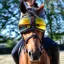 eQuick eVysor Eye Protector Horse Goggles - Mirrored Orange