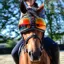 eQuick eVysor Eye Protector Horse Goggles - Mirrored Rainbow