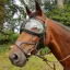 eQuick eVysor Eye Protector Horse Goggles - Transparent