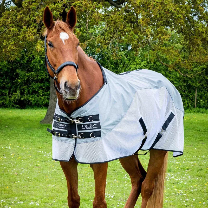 Equidaw of London Cooling Rug - Light Blue/White-1