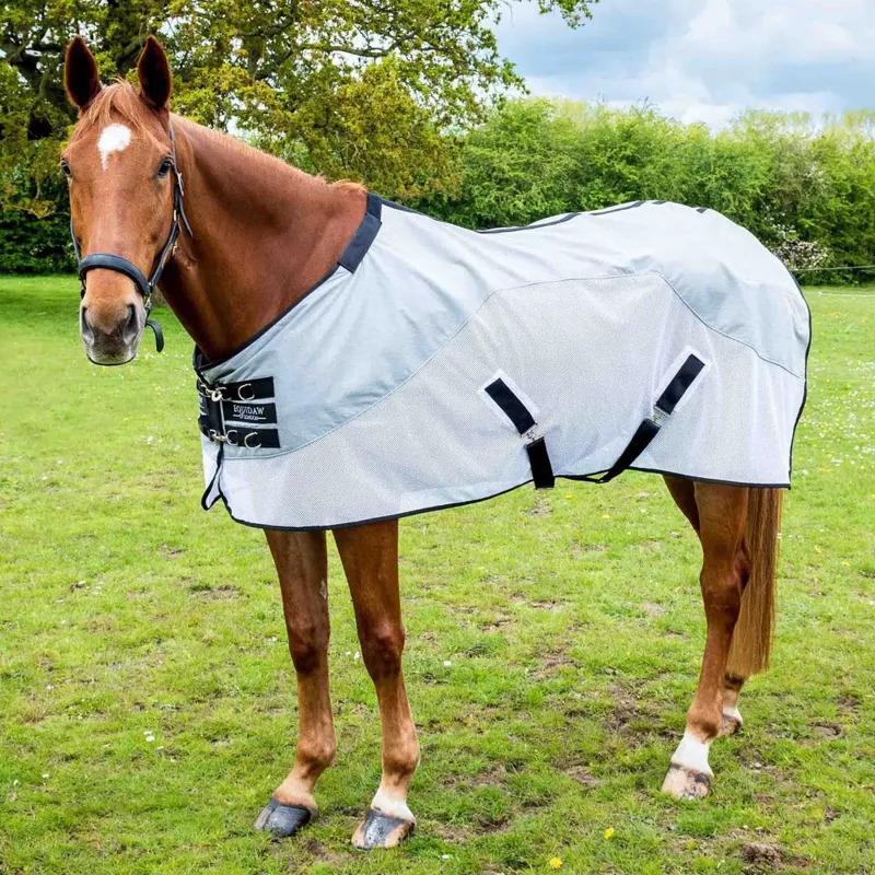 Equidaw of London Cooling Rug - Light Blue/White