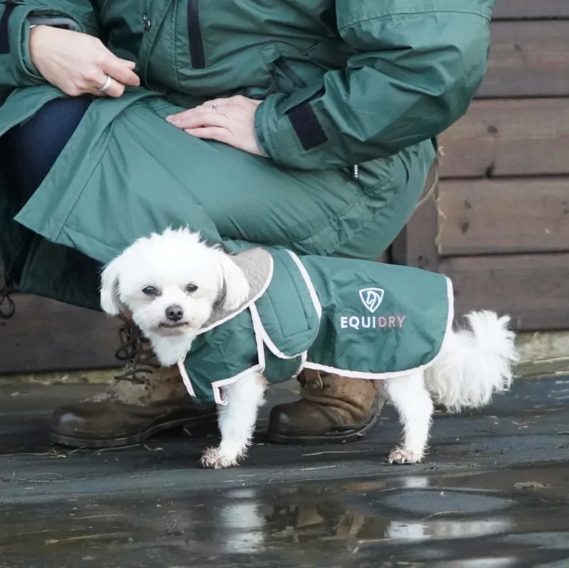 EQUIDRY Waterproof Dog Coat Black Forest Green/Grey