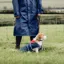 EQUIDRY Waterproof Dog Coat - Navy/Raspberry