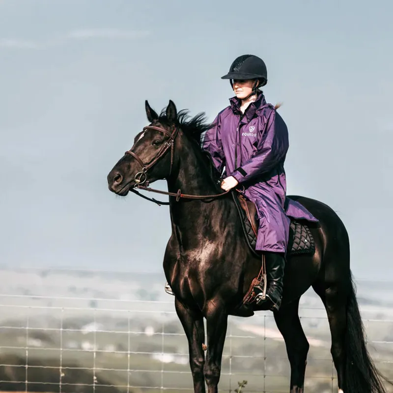 EQUIDRY Evolution Mesh Lined Waterproof Jacket - Purple/Purple-1