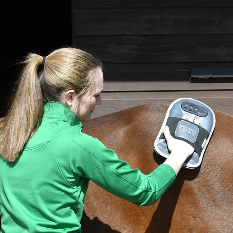 Equilibrium Massage Mitt - Ex-Display