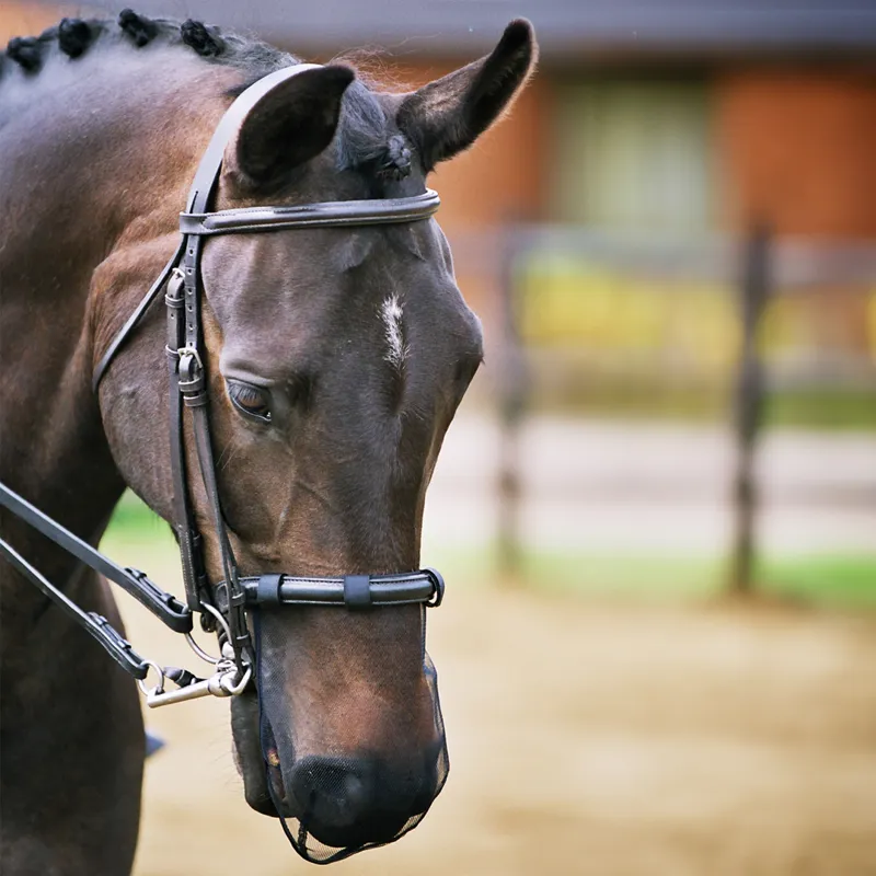 Equilibrium Net Relief Muzzle Net - Black