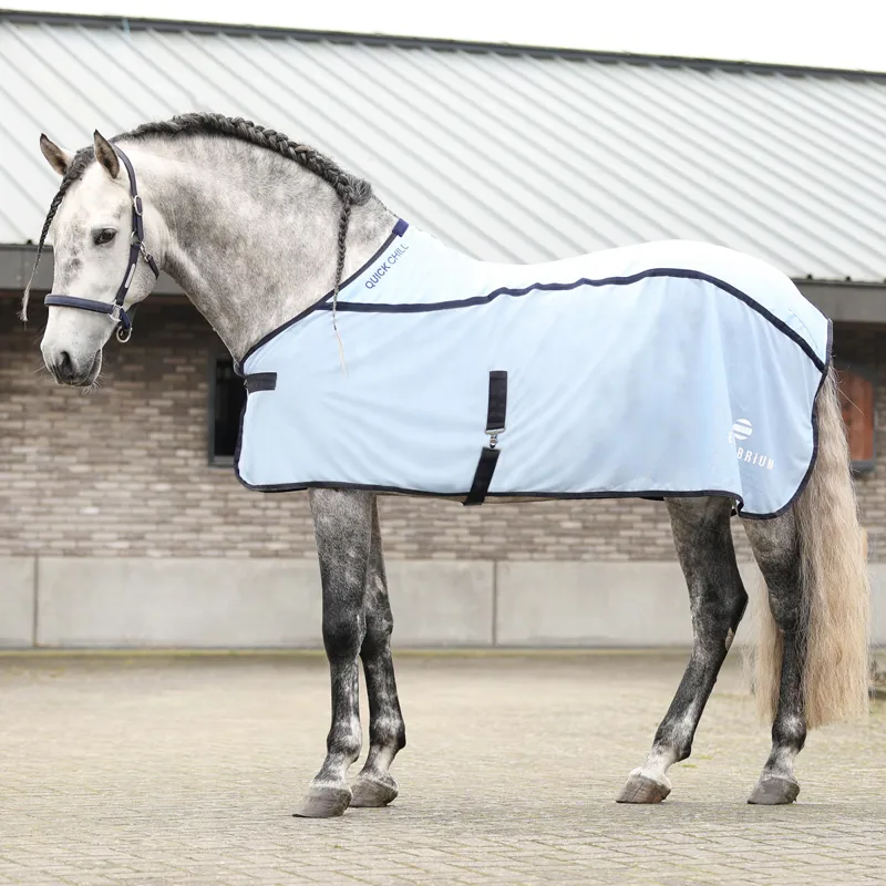 Equilibrium Quick Chill Cooling Rug - Light Blue