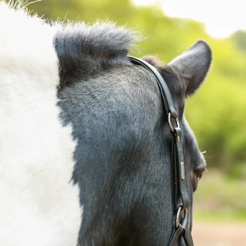 Equilibrium Stellar All-Weather Safety Headcollar - Black-7