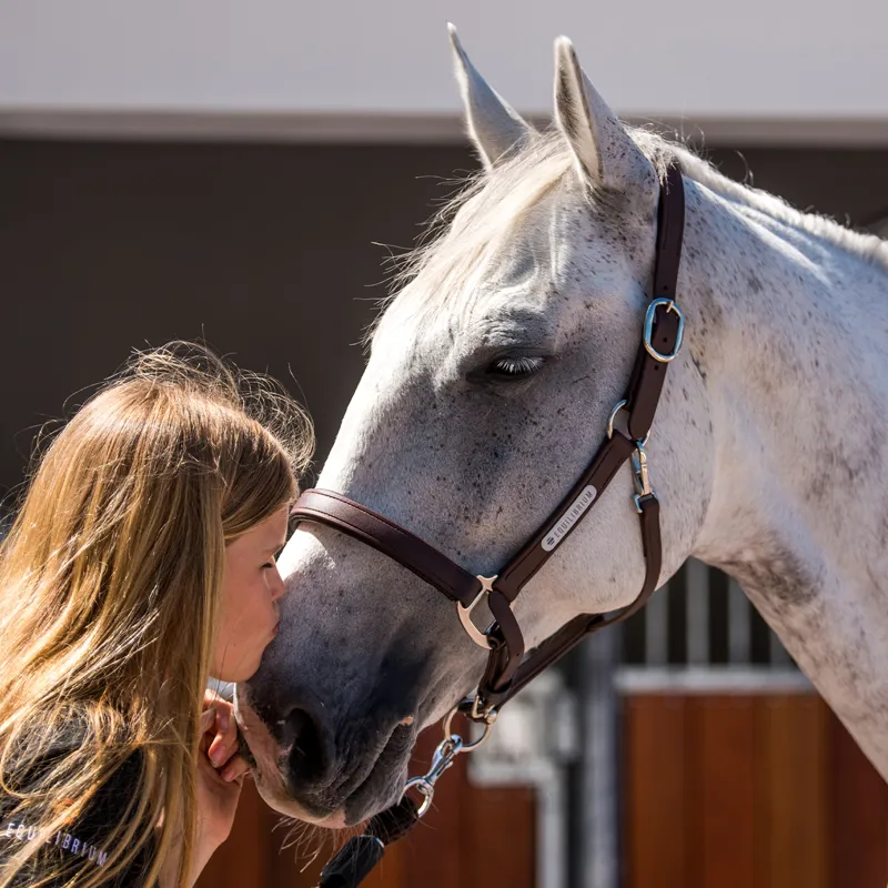 Equilibrium Stellar All-Weather Safety Headcollar - Brown-3