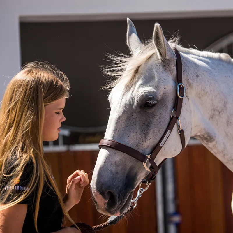 Equilibrium Stellar All-Weather Safety Headcollar - Brown-8