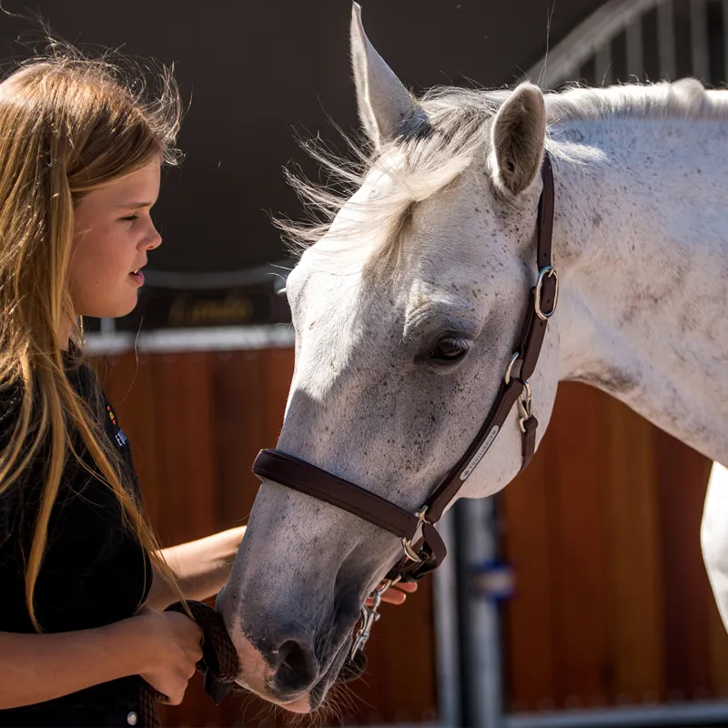 Equilibrium Stellar All-Weather Safety Headcollar - Brown-6