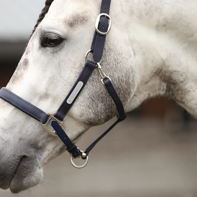 Equilibrium Stellar All-Weather Safety Headcollar - Navy-3