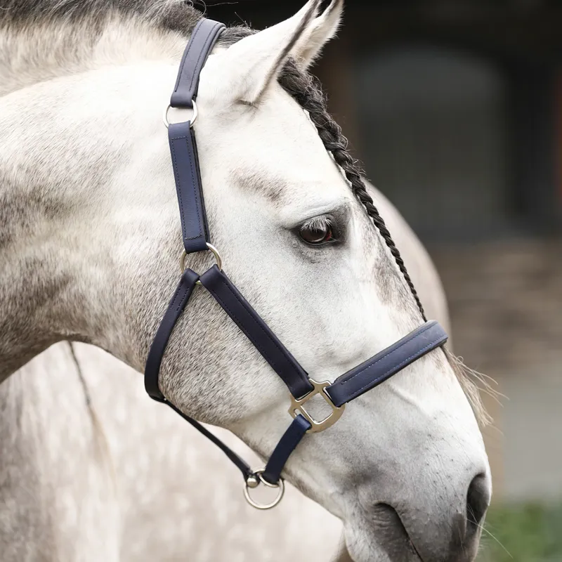 Equilibrium Stellar All-Weather Safety Headcollar - Navy-2