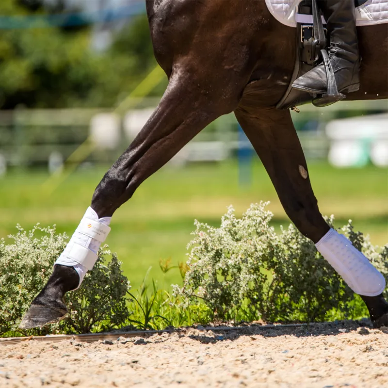 Equilibrium Stretch and Flex Flatwork Wraps - White-11