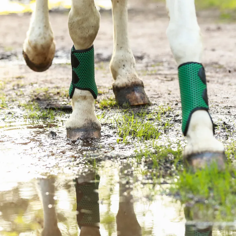 Equilibrium Tri-Zone All Sports Boots - Hunter Green-3