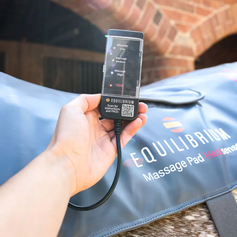 Equilibrium Heatsense Massage Back Pad