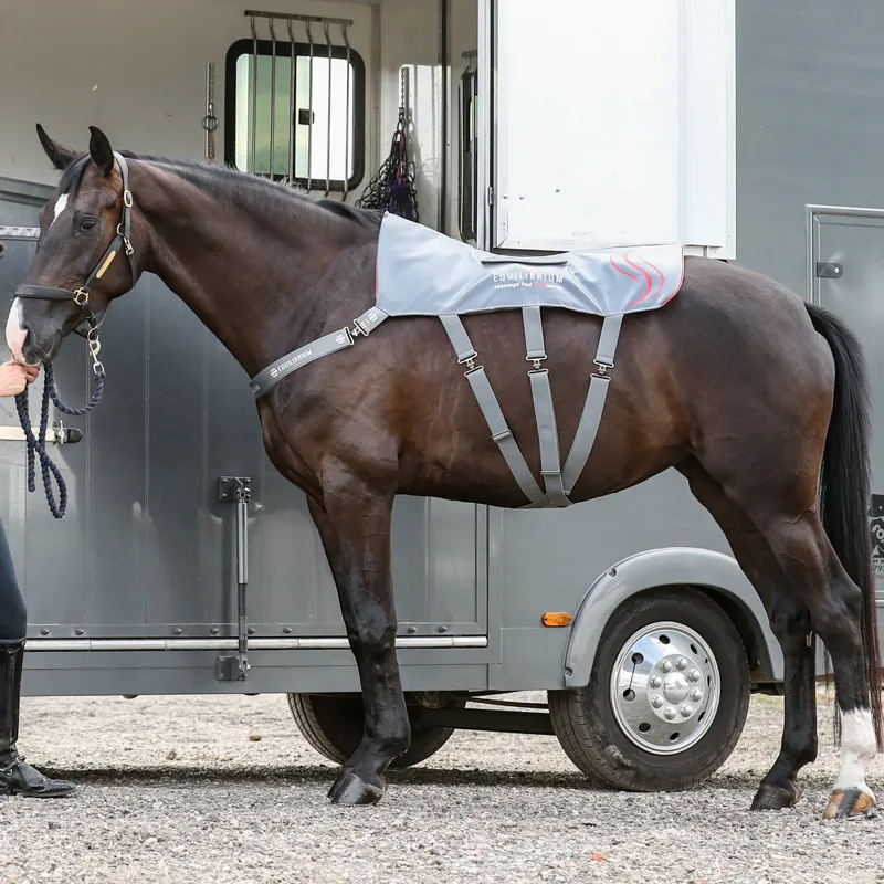 Equilibrium Heatsense Massage Back Pad - TRIAL-3