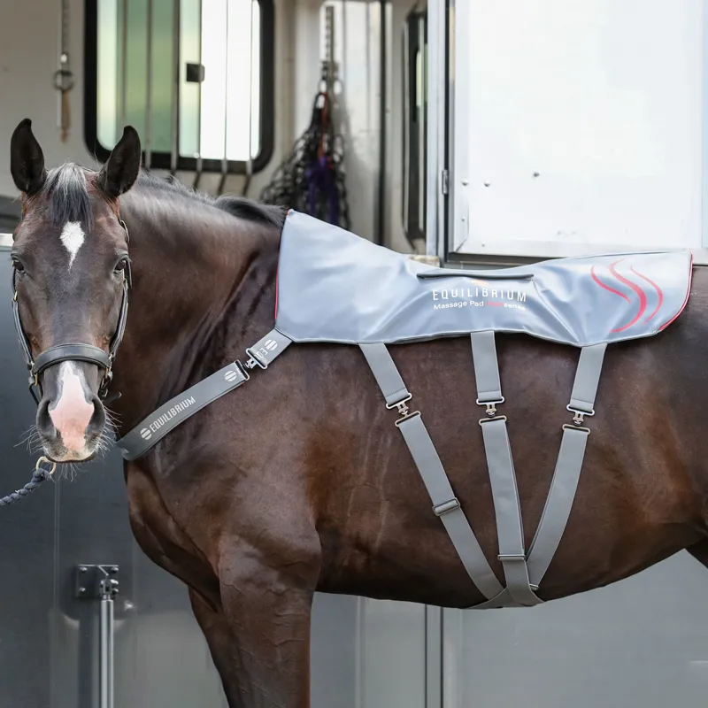 Equilibrium Heatsense Massage Back Pad - TRIAL-1