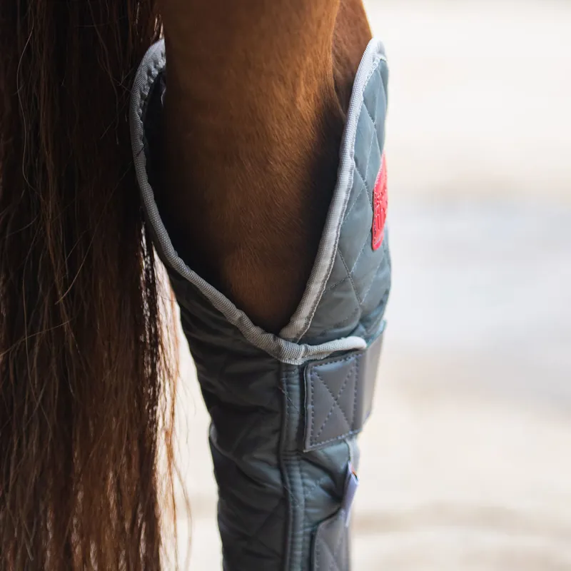 Equilibrium Magnetic Hind and Hock Chaps - Grey-3