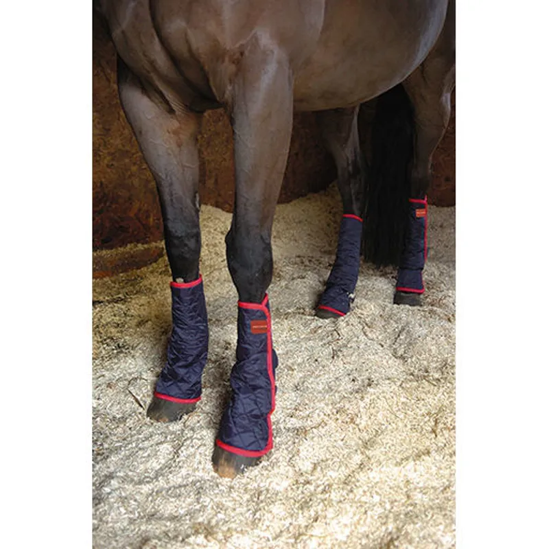 Equilibrium Therapy Magnetic Chaps - Navy