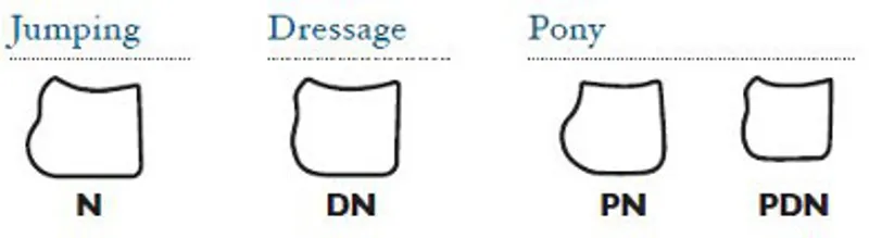 Equiline Rio Saddlecloth with Straps - Black-2