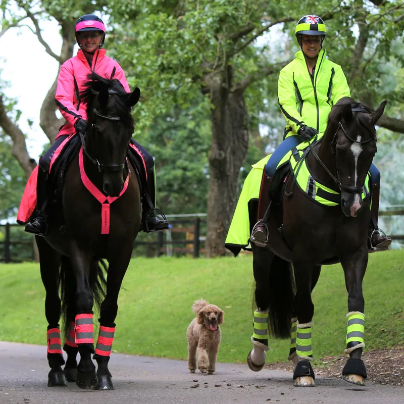 Equisafety Charlotte Dujardin Cadence Reflective Jacket - Pink-1