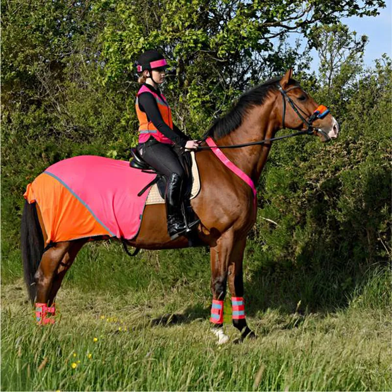 Equisafety Charlotte Dujardin Mesh Quarter Safety Wear Reflective Exercise Sheet Equisafety Charlotte Dujardin Mesh Quarter Safety Wear Reflective Exercise Sheet