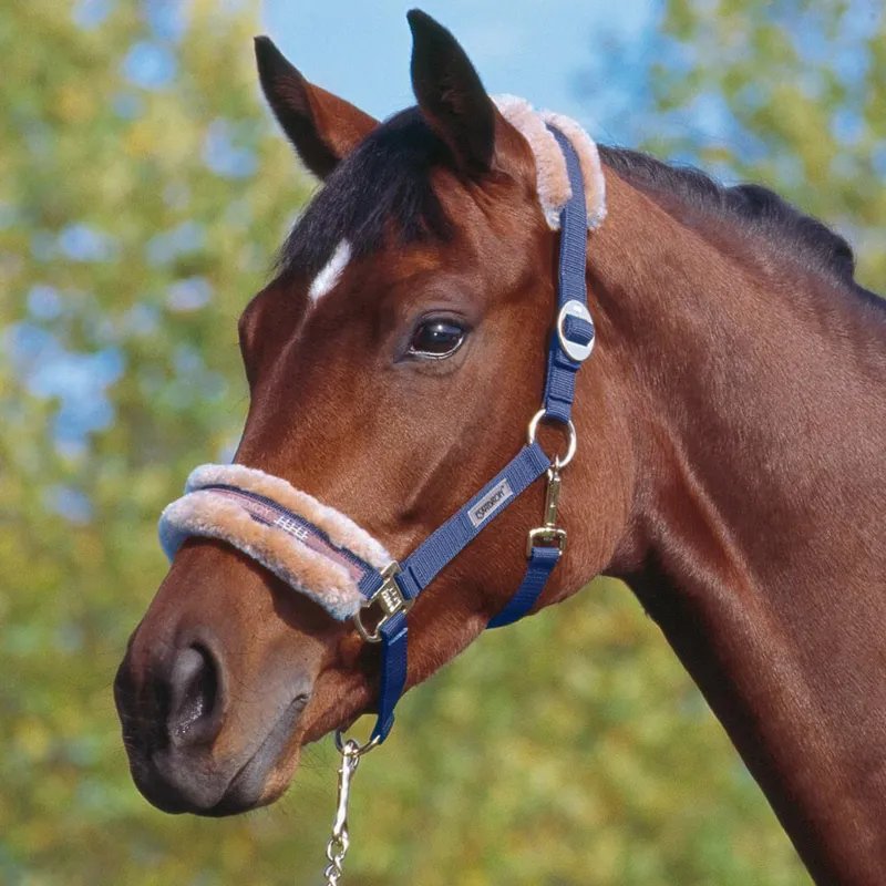sheepskin headcollar