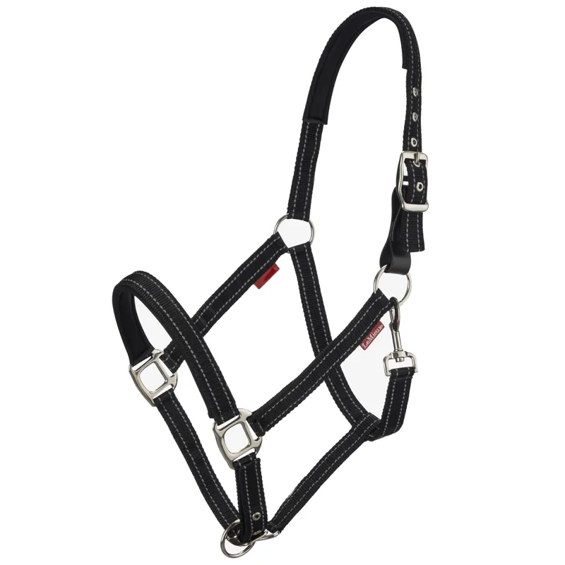 LeMieux Essential Yard Headcollar - Black