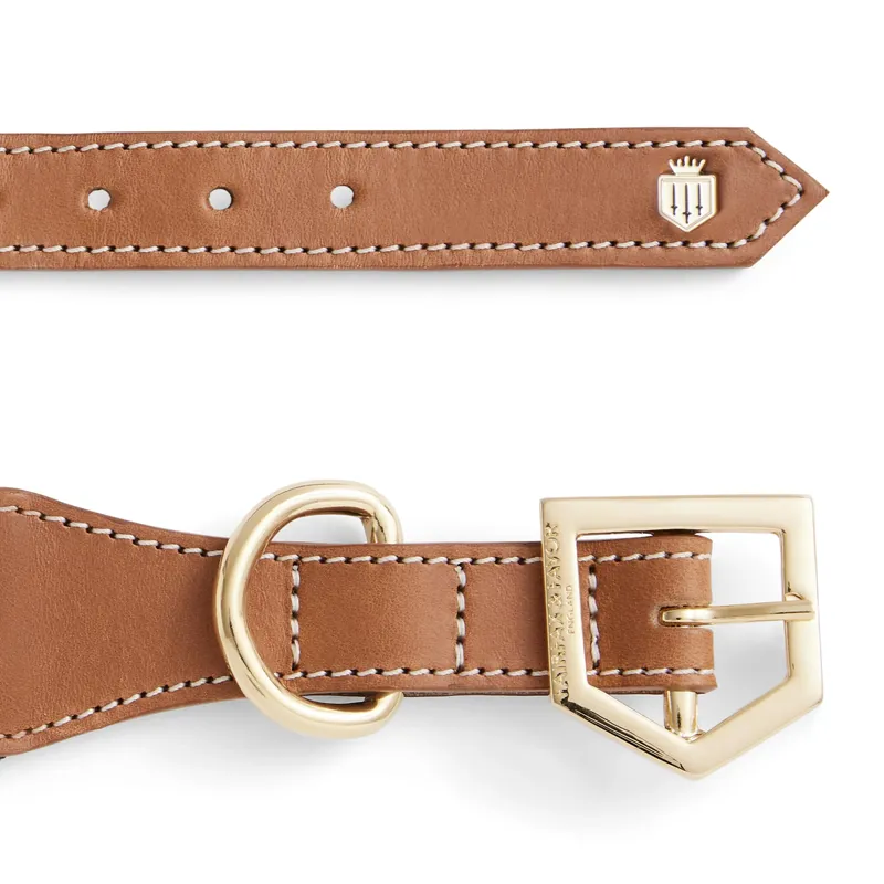 Fairfax and Favor Boston Dog Collar - Tan/Striped Webbing-2