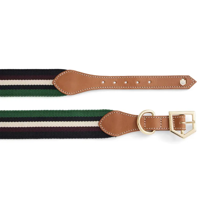 Fairfax and Favor Boston Dog Collar - Tan/Striped Webbing-1