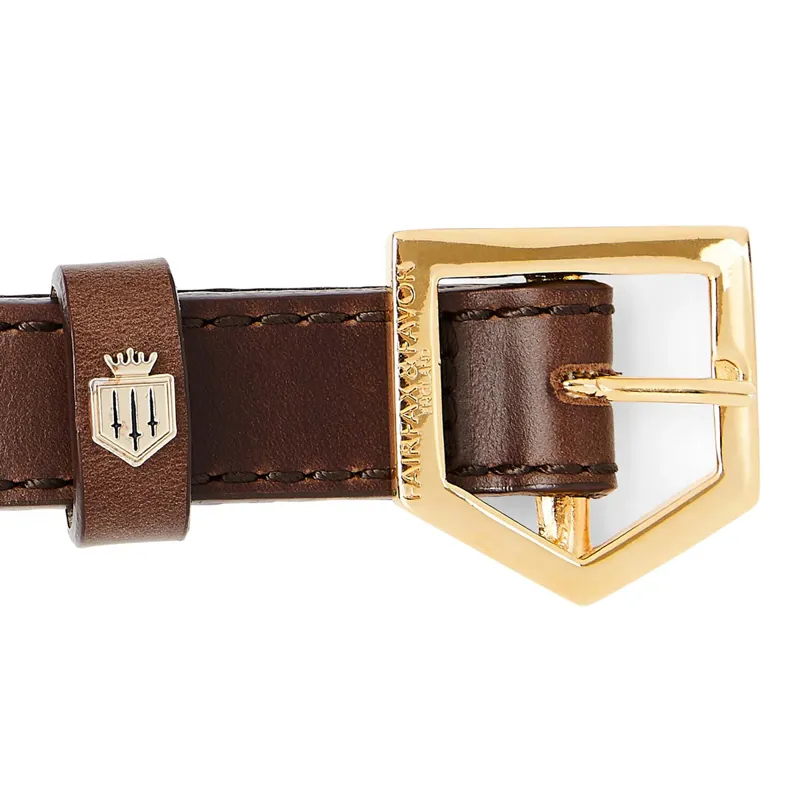 Fairfax and Favor Fitzroy Leather Dog Collar - Mahogany-2