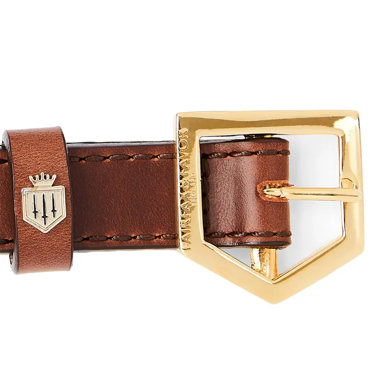 Fairfax and Favor Fitzroy Leather Dog Collar - Tan-2