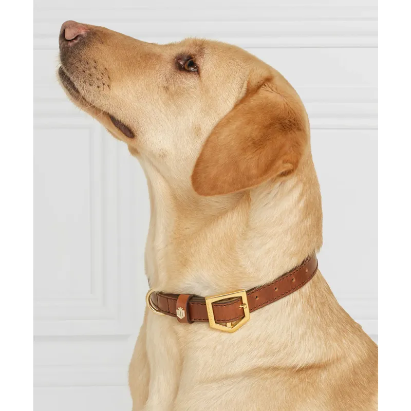 Fairfax and Favor Fitzroy Leather Dog Collar - Tan-4