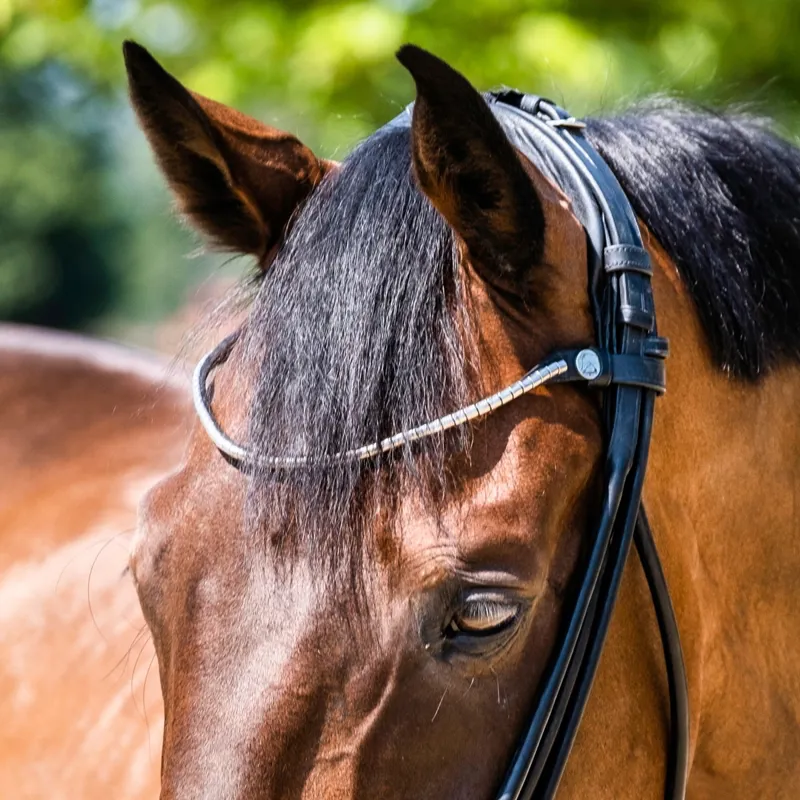 Finesse Spirit Rolled Drop Noseband Bridle - Black/Patent-3